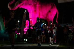 BIB: 
                            <button type="button" onclick="openModal(26530642)" class="btn btn-primary btn-sm float-right btn-popup" data-toggle="modal" data-target=".modal-high-quality">
                        <i class="fas fa-shopping-cart"></i> Add to Cart
                    </button>
                                            <button type="button" onclick="isThisMe(26530642, true)" class="btn btn-success btn-sm float-right btn-popup btn-isme hidden" data-toggle="tooltip" data-placement="bottom" title="นี่คือรูปของคุณใช่ไหม คลิกที่นี่เพื่อเอาเข้าอัลบั้ม">
                        <i class="fas fa-plus"></i> Add to album
                    </button>
                    <button type="button" onclick="isThisMe(26530642, false)" class="btn btn-warning btn-sm float-right btn-popup btn-isnotme hidden">
                        <i class="fas fa-ban"></i> Remove from album
                    </button>